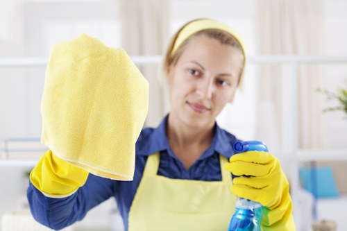 Cleaning products and tools used for pet stain odour removal in Barking