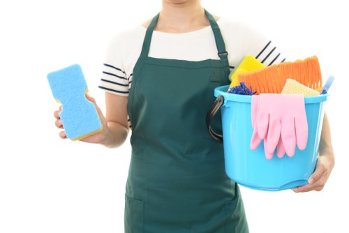 Barking Carpet Cleaners introduction and company values