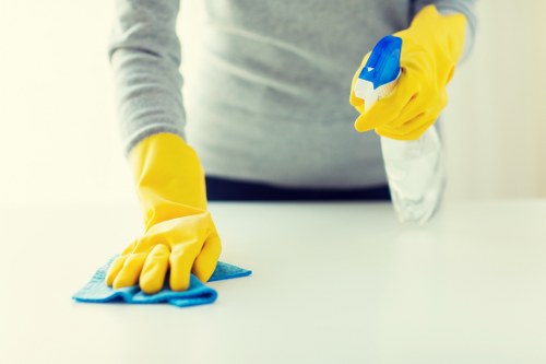 Professional carpet cleaner applying controlled treatment