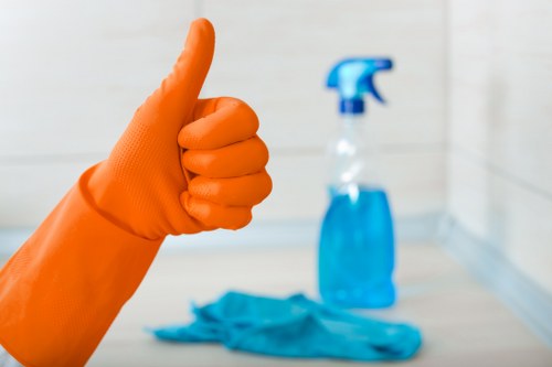Professional carpet cleaning process in a domestic property