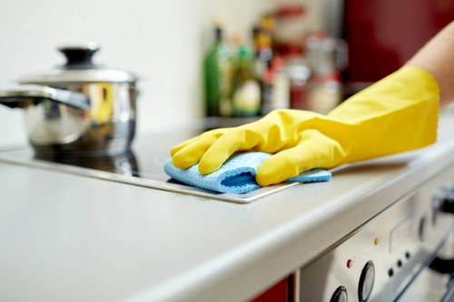 Steam cleaning carpets in a Barking property